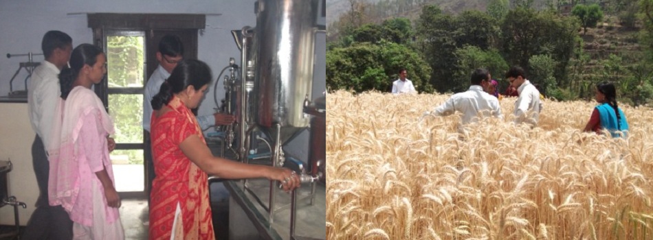 Rural Innovative Project